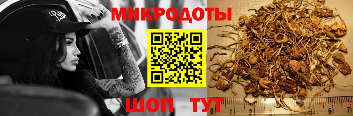 Галлюциногенные грибы MAGIC MUSHROOMS  Вход с VPN  сколько стоит  Кропоткин 